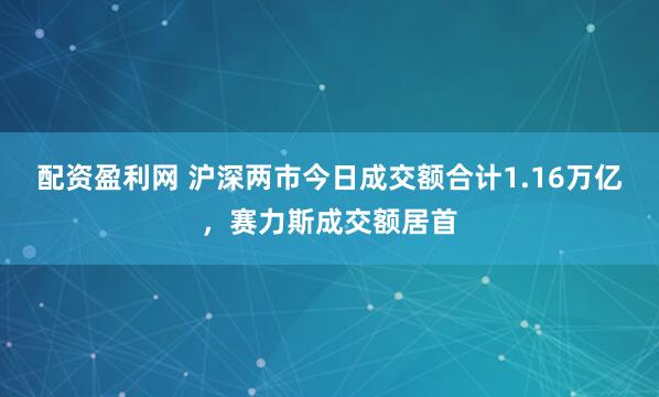 配资盈利网 沪深两市今日成交额合计1.16万亿，赛力斯成交额居首