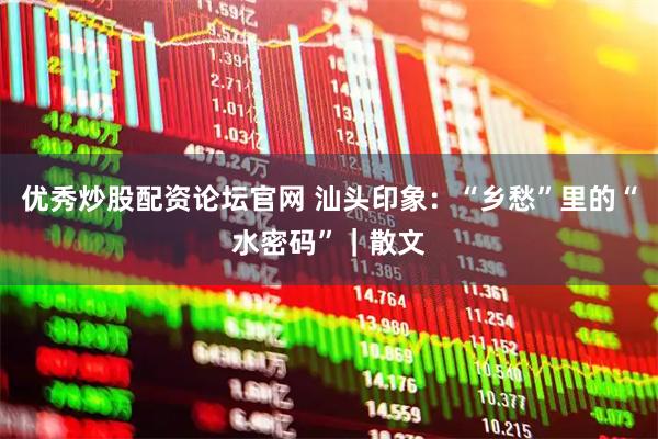 优秀炒股配资论坛官网 汕头印象:“乡愁”里的“水密码”|散文